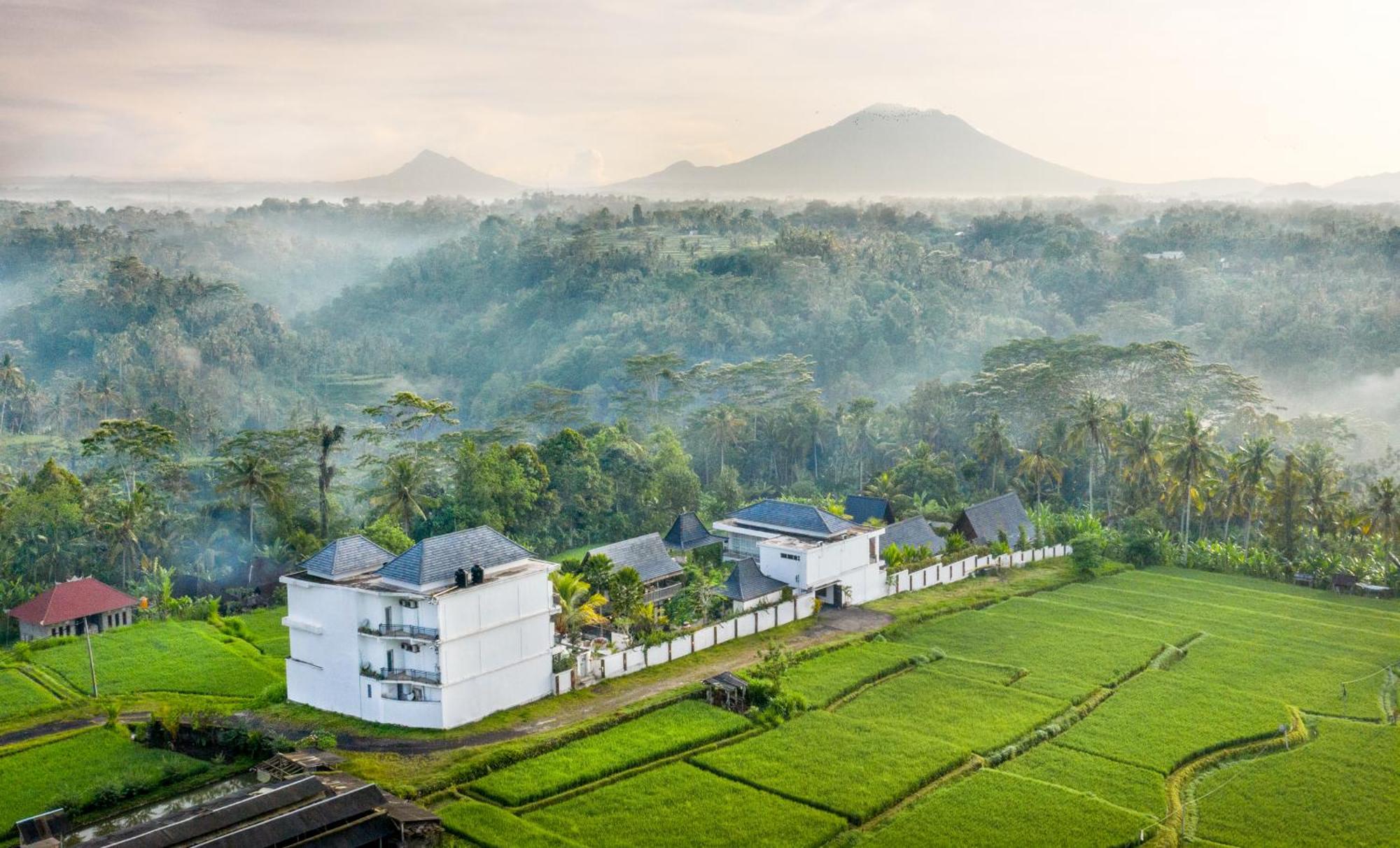 Abian Taksu Suite & Villas Tegallalang  Buitenkant foto